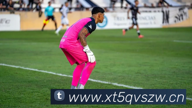 爱体育官网app下载平台生态图